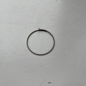 Fulcrum Freilauffeder